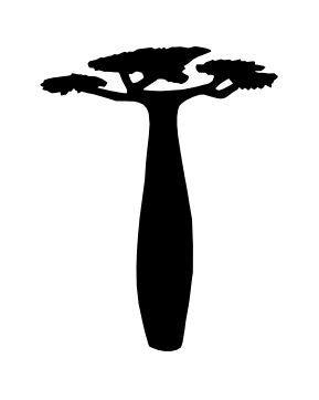 Baobab