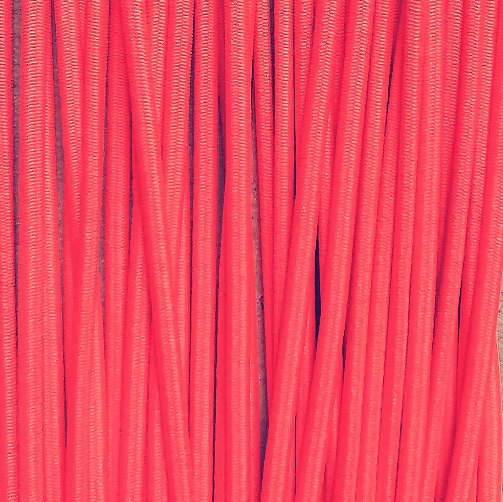 Corail fluo