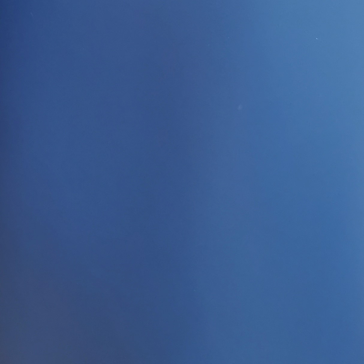 BLEU Nattier