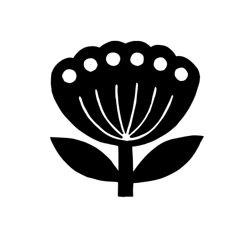 Lotus en graines
