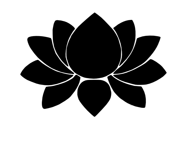 Lotus ouvert