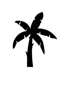 Petit palmier