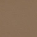 SOIE taupe